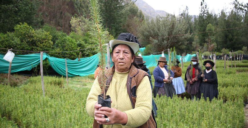 mujeres productores de plantones forestales Perú
