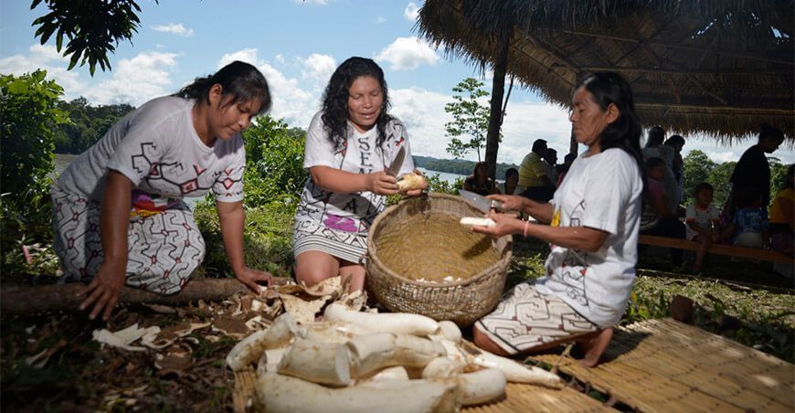 Productoras indígenas de yuca Perú
