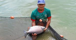 productores acuícolas peces amazónicos paco Perú