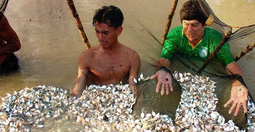 productores acuícolas Loreto Perú
