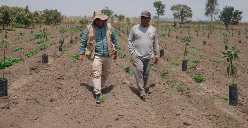 productores agrarios Ancash Perú