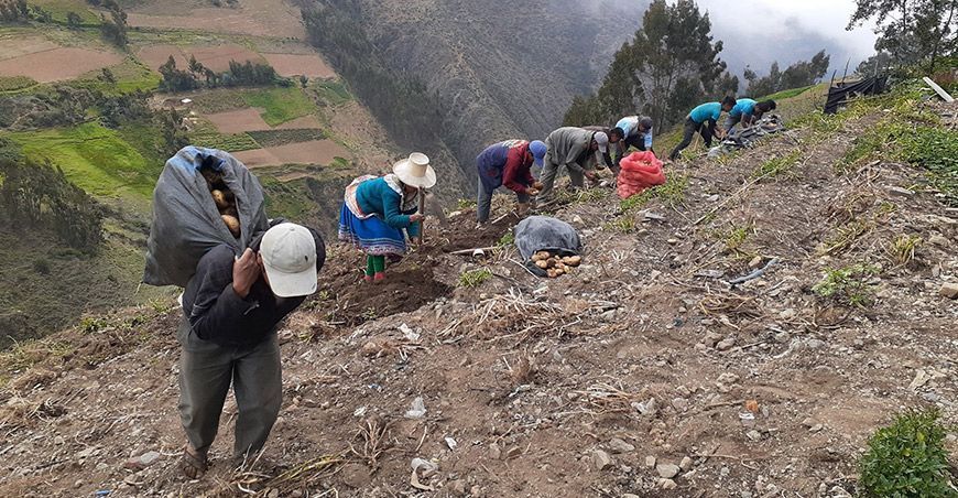 Día del Campesino, homenaje a nuestro héroes del campo