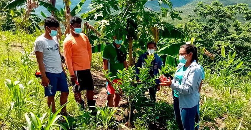 Agro Rural lanza tercera convocatoria SEAR 