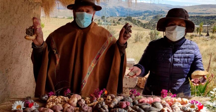 papas nativas agrobiodiversidad Perú
