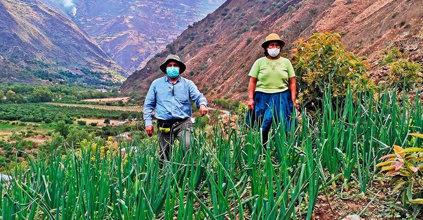 Midagri capacitará a productores