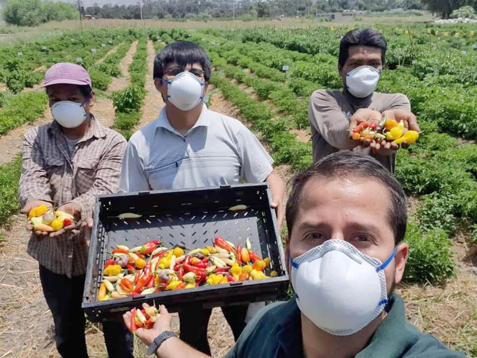 Día Nacional de los Ajíes