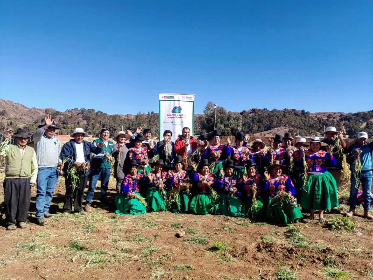 producción de ajos productores de Acora Puno