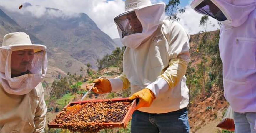 productores apícolas Perú