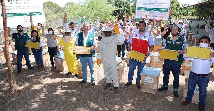 productores apícolas Piura Perú