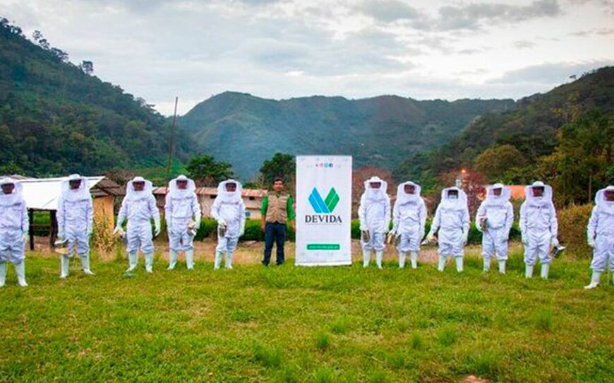 Fortalecerán la actividad apícola en cuatro distritos de Ayacucho