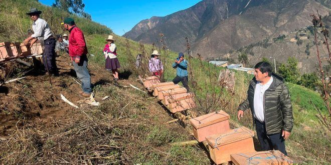 Productores de Pamparomás impulsan el desarrollo de la apicultura