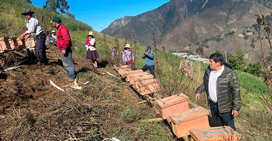 Productores de Pamparomás impulsan el desarrollo de la apicultura