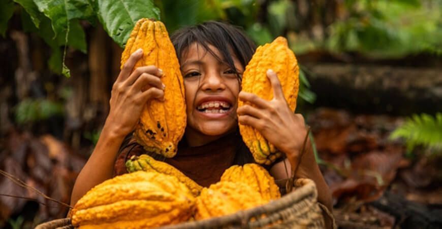 Cooperativa asháninka exporta por primera vez 25 TM de cacao orgánico Italia