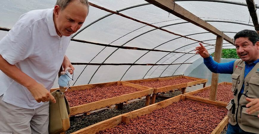 productores awajún consolidan cadena de valor del cacao y plátano