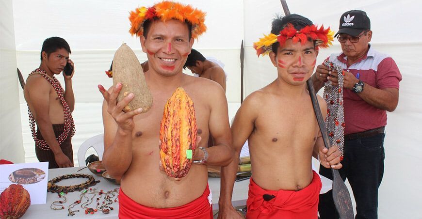productores de cacao Amazonas Perú