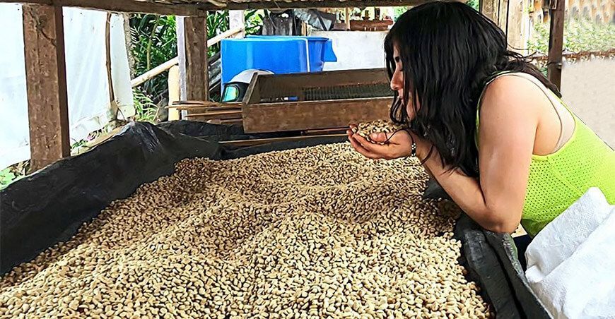 productores de café en grano sin tostar Perú