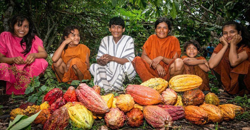 productores de cultivo de cacao Junín Perú