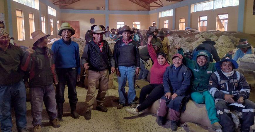 productores de Cusco comercializaron fibra de alpaca