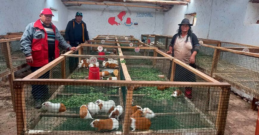 La Libertad: familias de Taurija tienen mejores ingresos económicos con Haku Wiñay