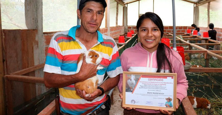 productores de cuy Perú