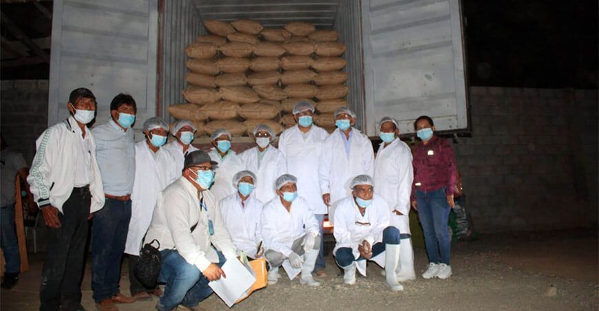 Lambayeque: agricultores envían primer container de orégano orgánico a EE UU