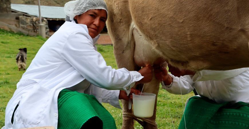 Huarás: productores lecheros de Cuncashca se beneficiaron con escuelas de campo