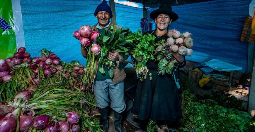  Más de 300 mil pequeños agricultores han sido beneficiados desde Agro Rural