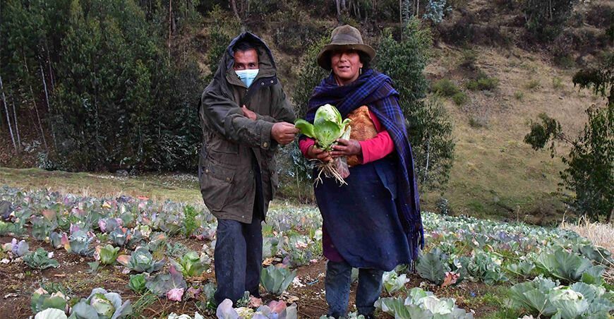 productores de hortalizas día del campesino