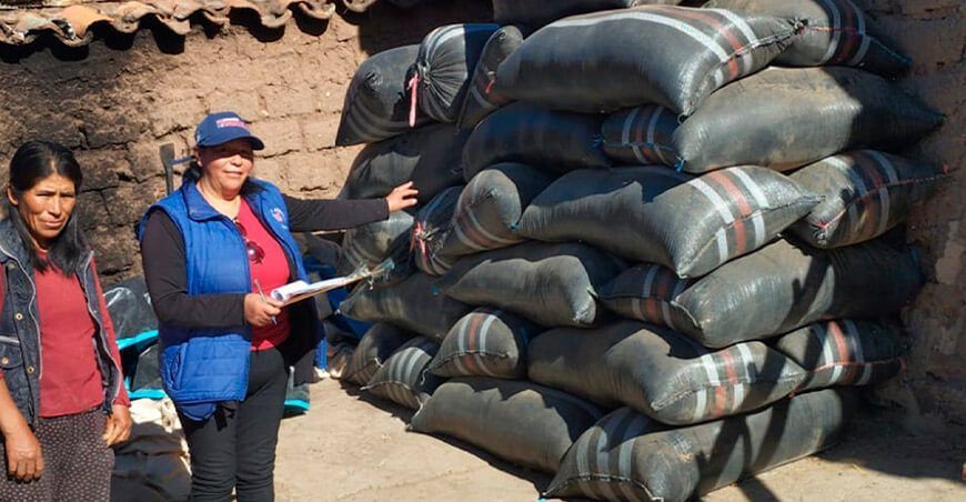 Productores de Angaraes concretan venta de más de 12 TM de quinua en Huancavelica Perú