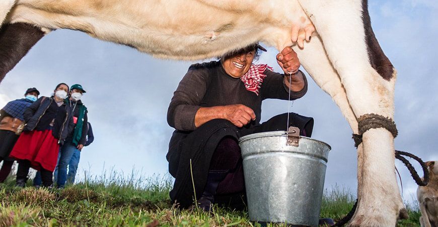 productores lecheros Perú