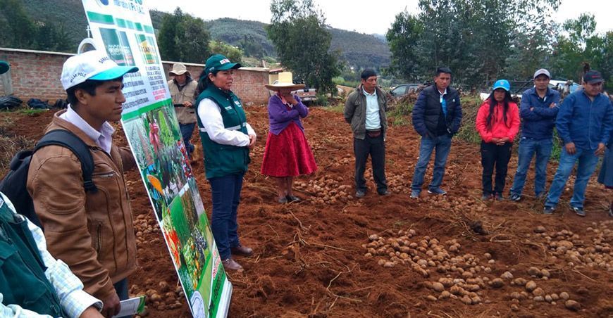 Sin extensión agrícola el agro jamás avanzará