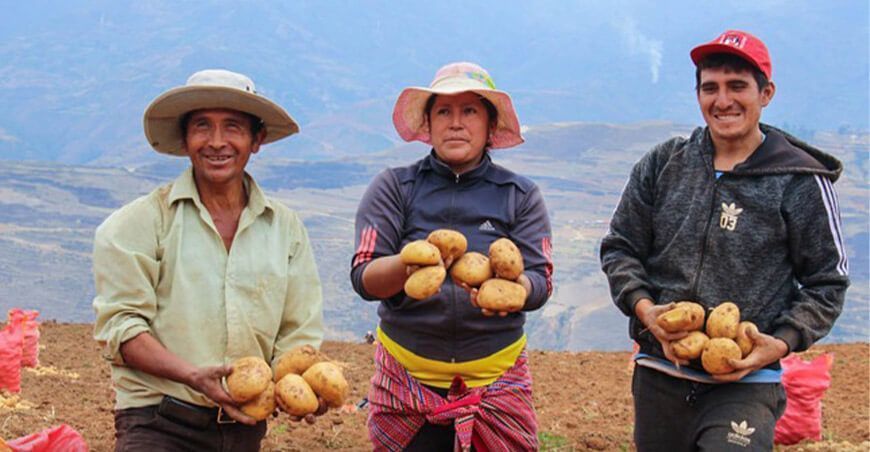 productores agricultores de papa nativa