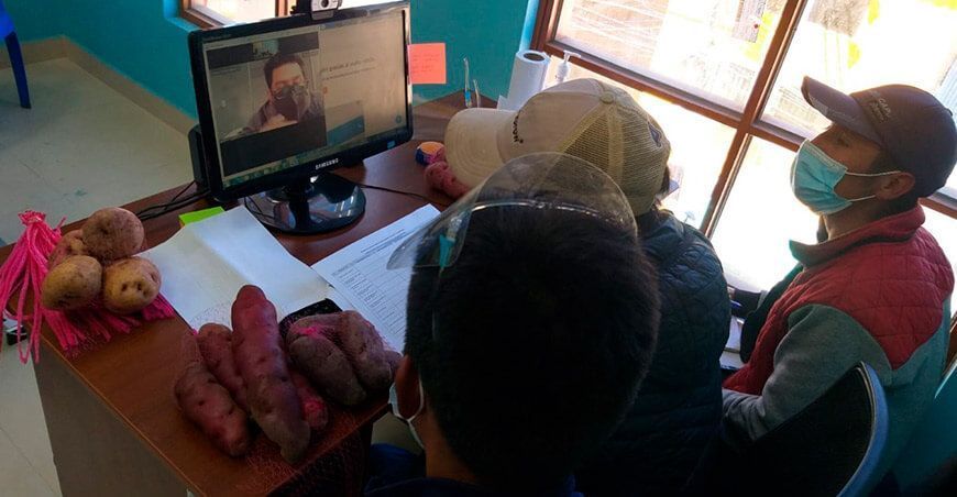 Rueda de negocios virtual de productores de papa