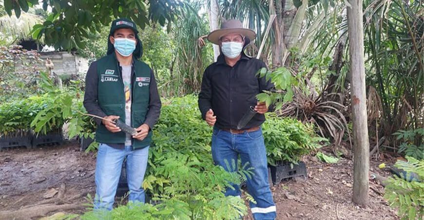 productores forestales aprenden técnicas para conservar suelos
