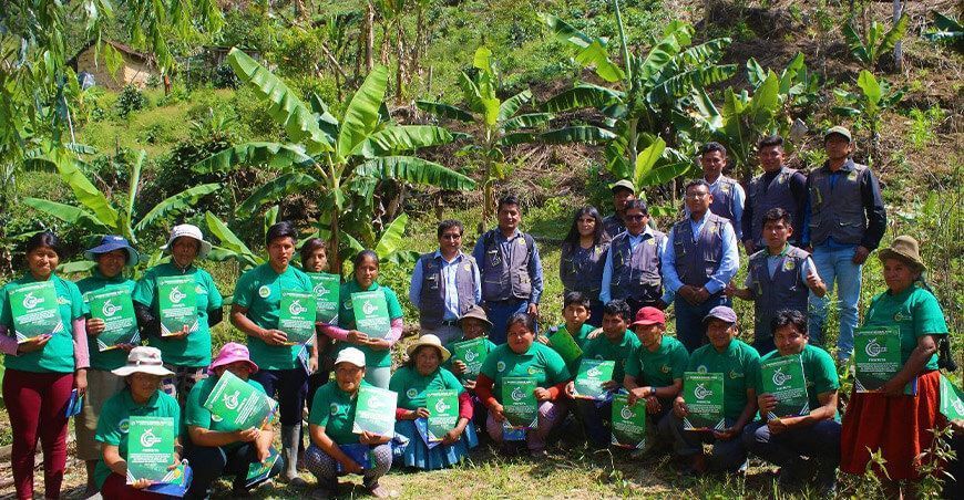 productores de plátano Puno Perú