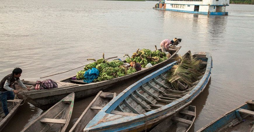 productores de plátanos Amazonía Perú