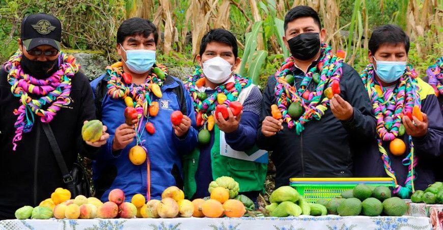 productores de rocoto Puno Perú