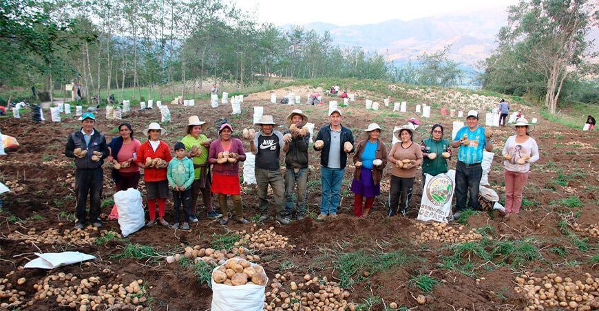productores de Tongod incrementan producción de papa