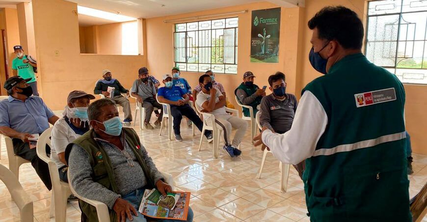 Productores y autoridades se unen para erradicar la mosca de la fruta en el Valle de Chicama