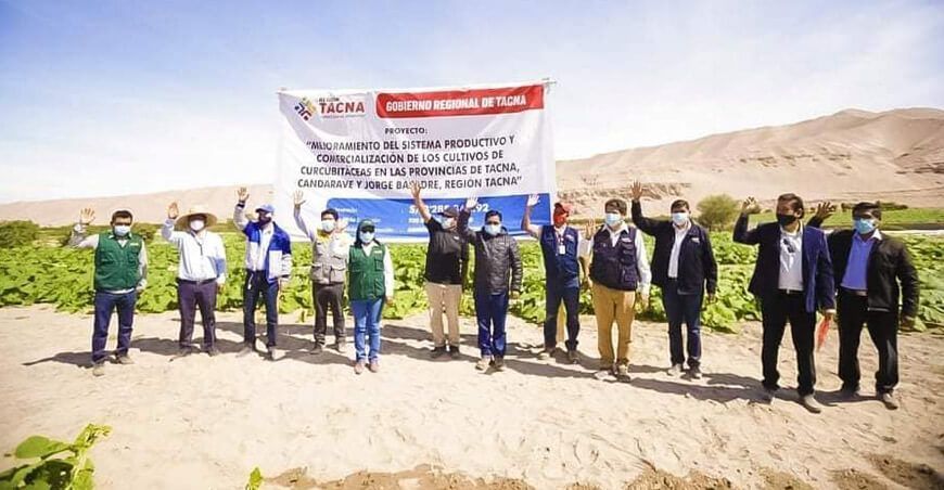 Productores de Locumba exportarán más de 40 toneladas de zapallo a Chile