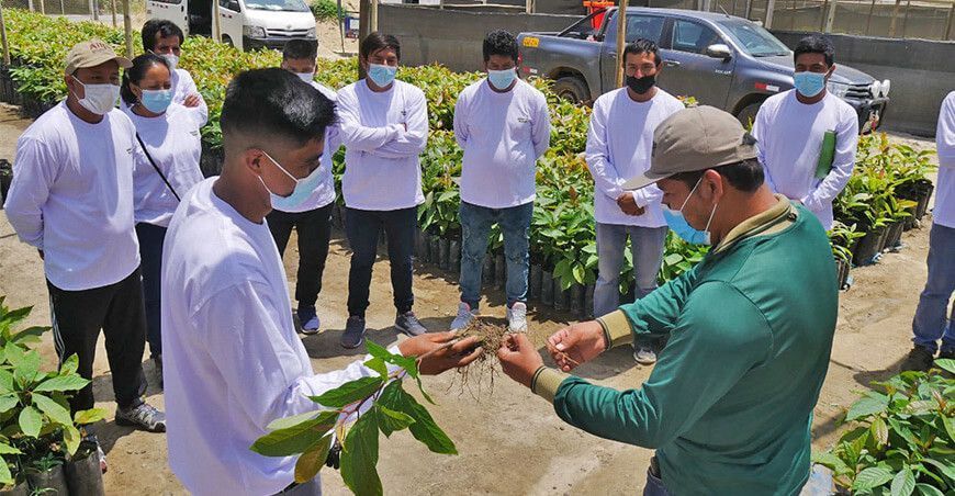 Áncash: implementarán programa de formación agropecuaria para pequeños productores