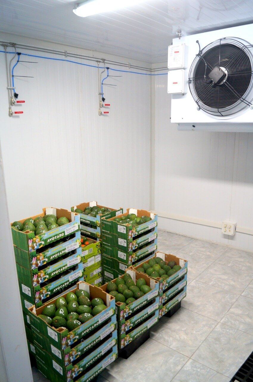 Inauguran moderno laboratorio de poscosecha de palta en la UNALM