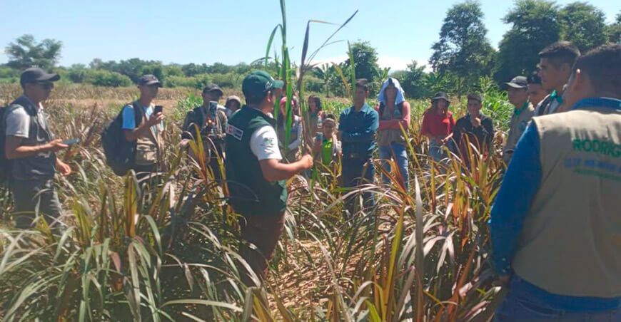 productores son capacitados en manejo de pasturas