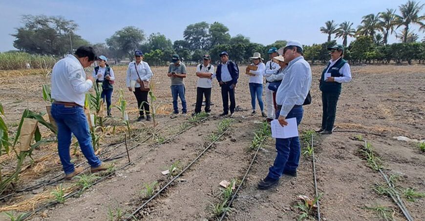 Profesionales se capacitan en propiedad intelectual aplicada en innovación agraria Lambayeque INIA Perú