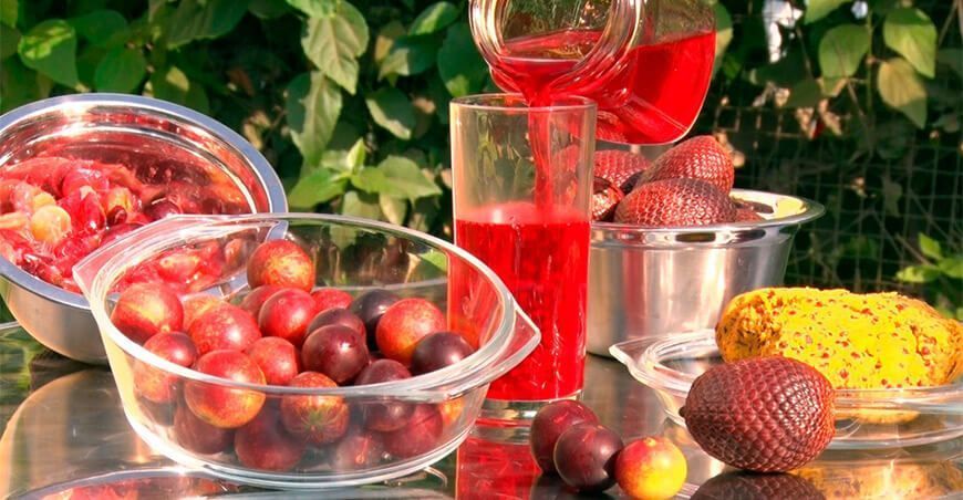 propiedades del camu camu y aguaje