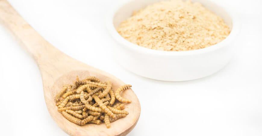 proteínas alternativas
