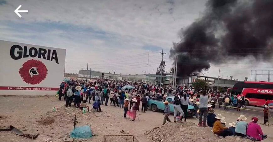 protestas afectan a ganaderos lecheros Perú