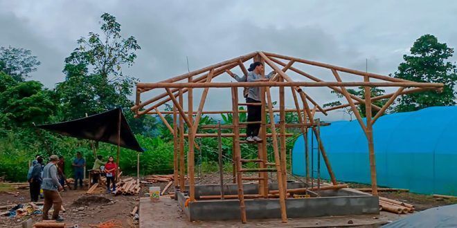Provraem imparte capacitación en construcción de viviendas con bambú Perú