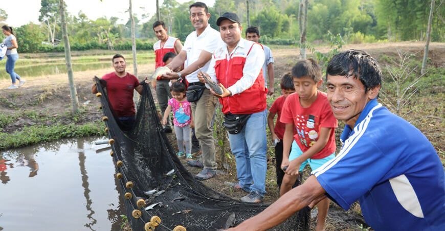 proyectos productivos acuicultura Perú