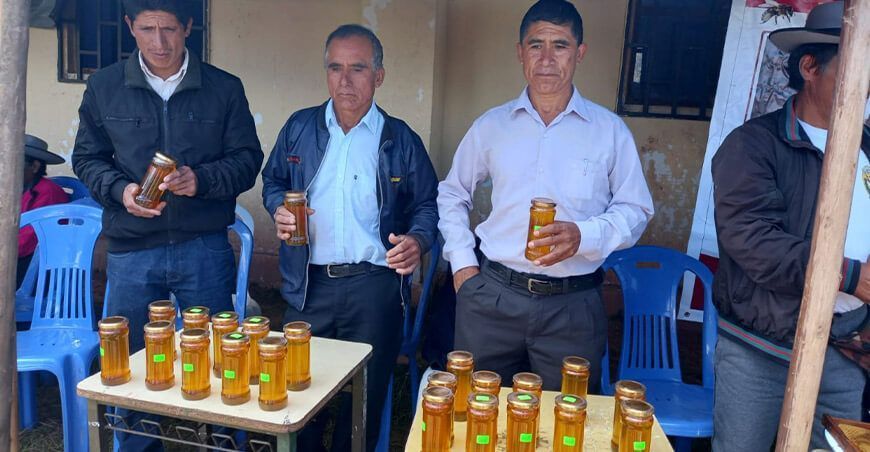La Libertad: familias de Taurija tienen mejores ingresos económicos con Haku Wiñay